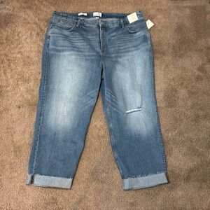 NWT Straight Ankle Jeans, 24W